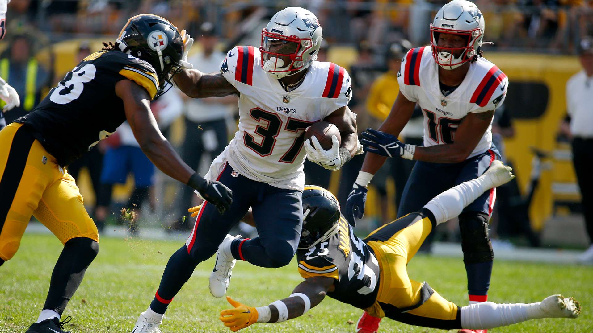 政策支持与 政策支持与