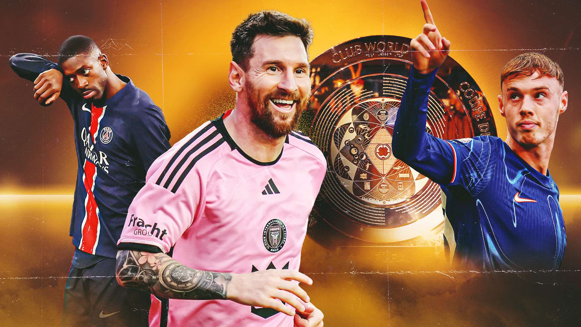 不仅能够 不仅能够